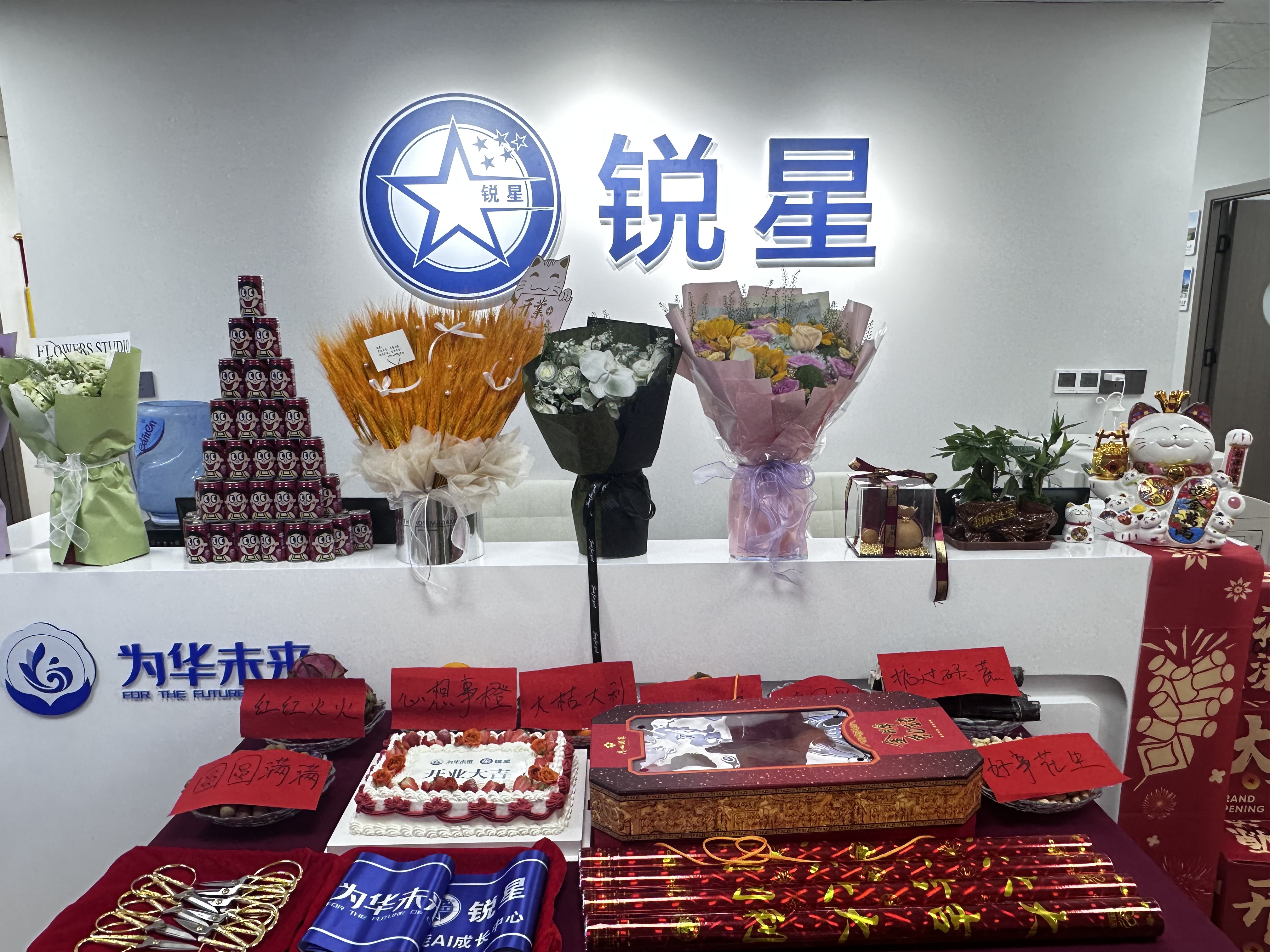 新校启航，共赴未来——为华·锐星教育小北校区盛大开业！